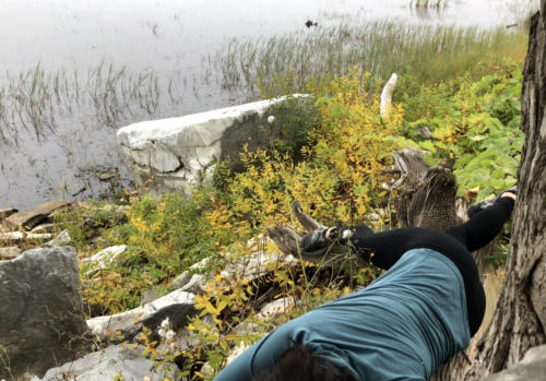 10 (1) (1) (1) (1) (1) (1) (1)