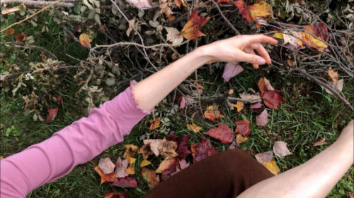 10 (1) (1) (1) (1) (1) (1) (1) (1) (1) (1)