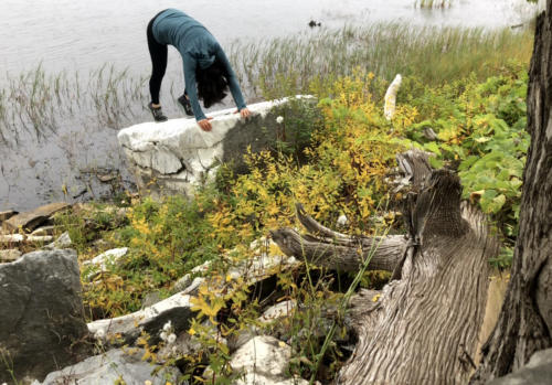 2 (1) (1) (1) (1) (1) (1) (1) (1) (1)