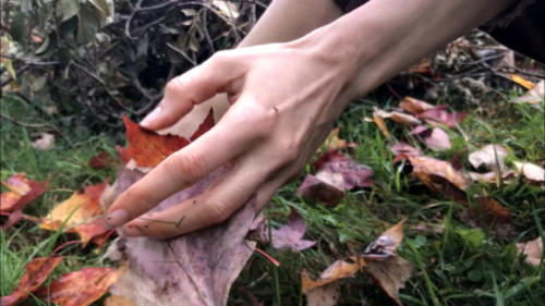 4 (1) (1) (1) (1) (1) (1) (1) (1) (1) (1) (1) (1)