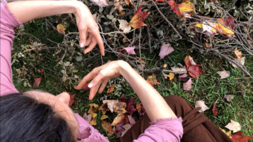 5 (1) (1) (1) (1) (1) (1) (1) (1) (1) (1) (1)