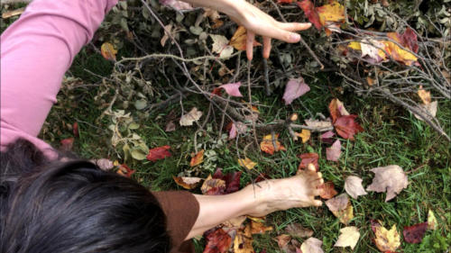 7 (1) (1) (1) (1) (1) (1) (1) (1) (1) (1) (1)